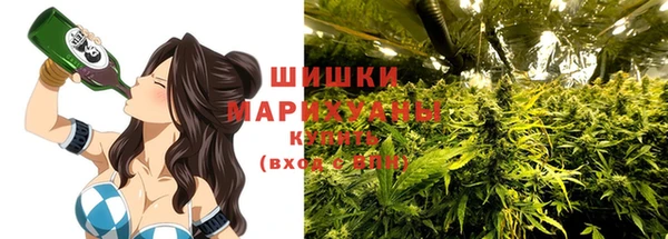 ECSTASY Медногорск