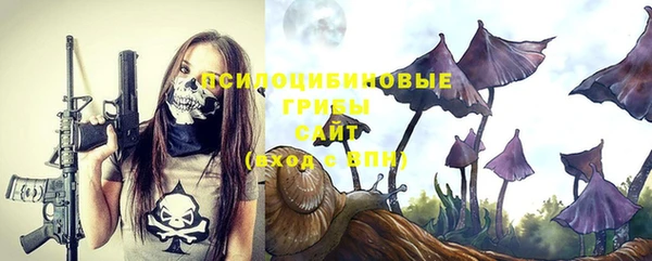 меф Горно-Алтайск