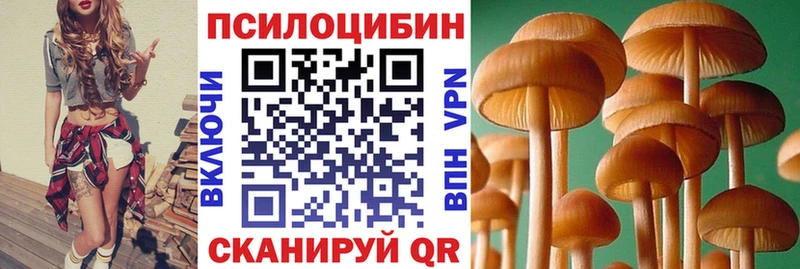 где купить наркотик  Плёс  дарк нет телеграм  Псилоцибиновые грибы Psilocybe 